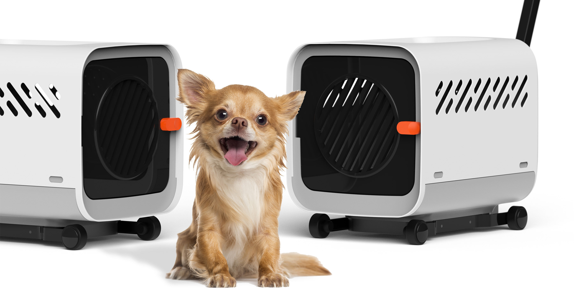 宠物运输笼设计