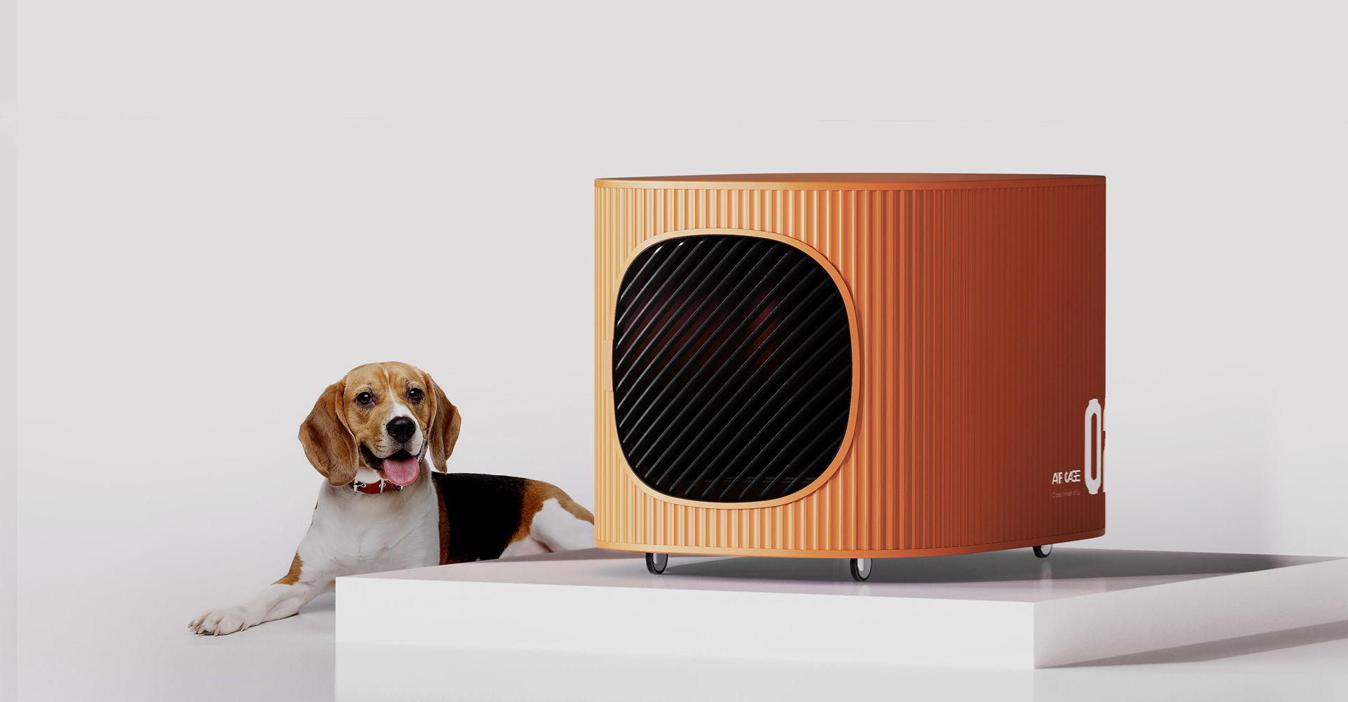 宠物运输笼设计