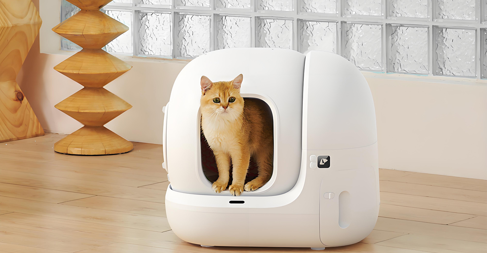 智能猫砂盆设计-智能猫砂盆外观设计-智能猫砂盆结构设计