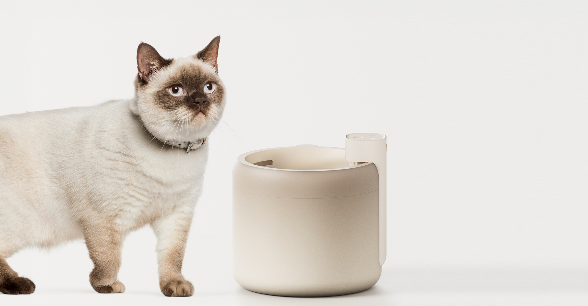 宠物产品设计公司