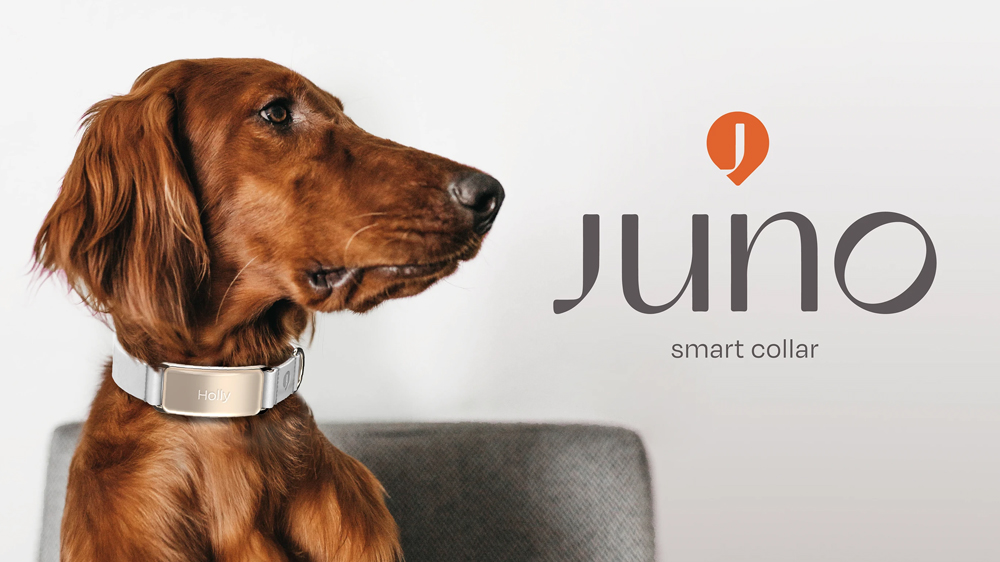 宠物产品设计公司 宠物产品设计公司